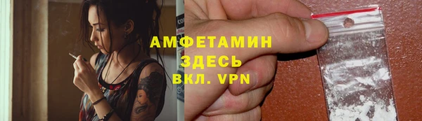 трава Корсаков