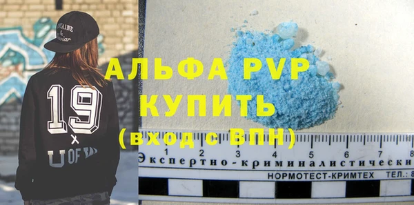 трава Корсаков