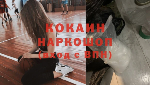 трава Корсаков