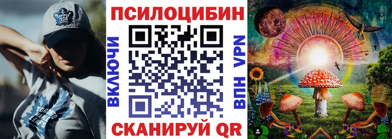 Галлюциногенные грибы GOLDEN TEACHER  где купить наркоту  Северо-Курильск 